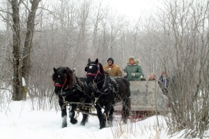 carriedriving-1-mb-2007